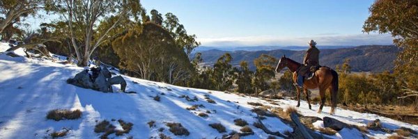 stujb77 Profile Banner