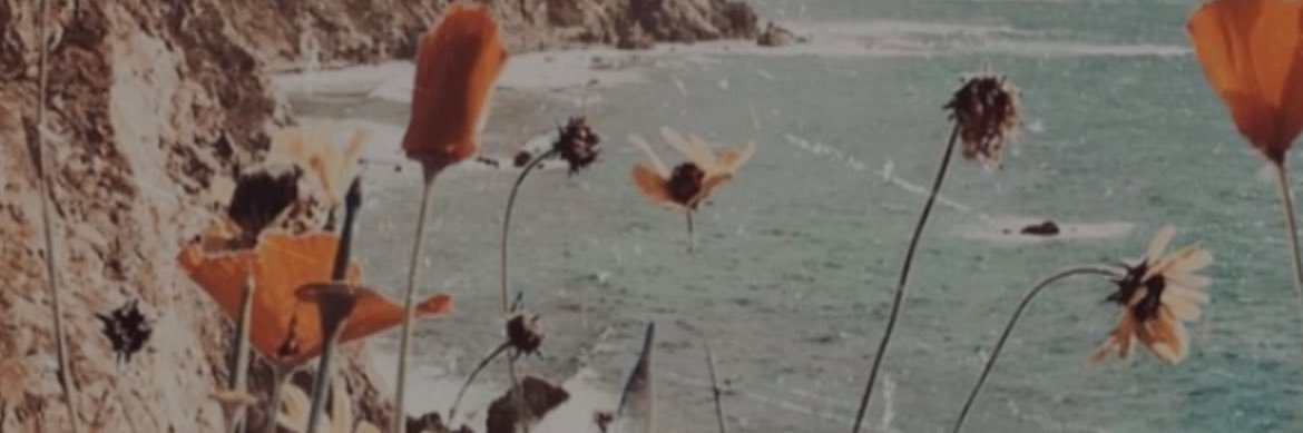 Drizzydoesit's profile banner image