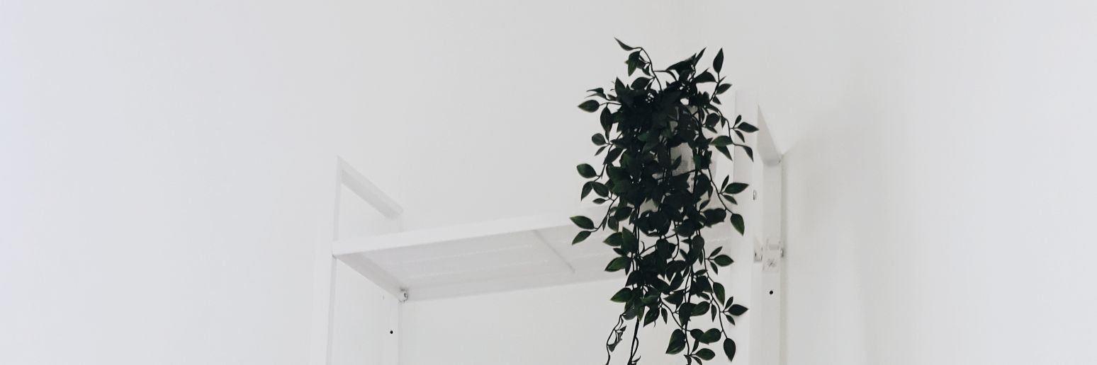 rianaaprl's profile banner image