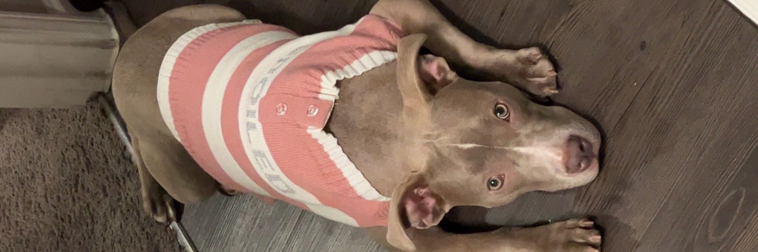 FatKatKelly's profile banner image
