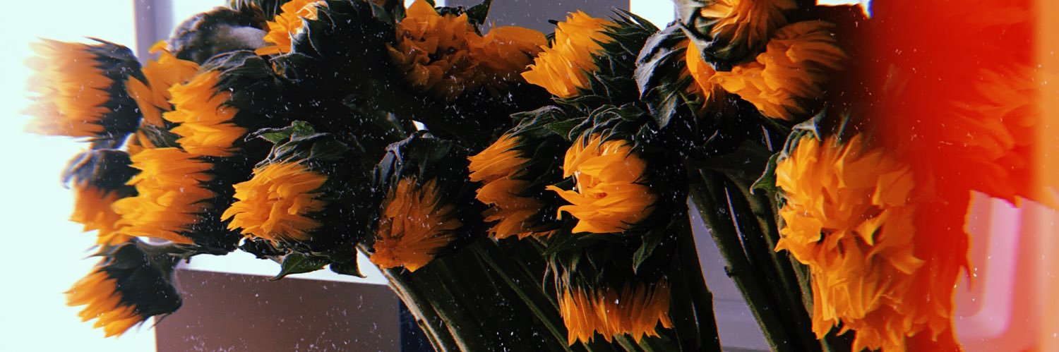 kyndal_firee's profile banner image