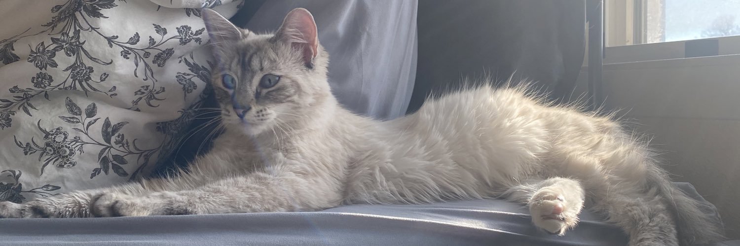 ashton_rylee's profile banner image