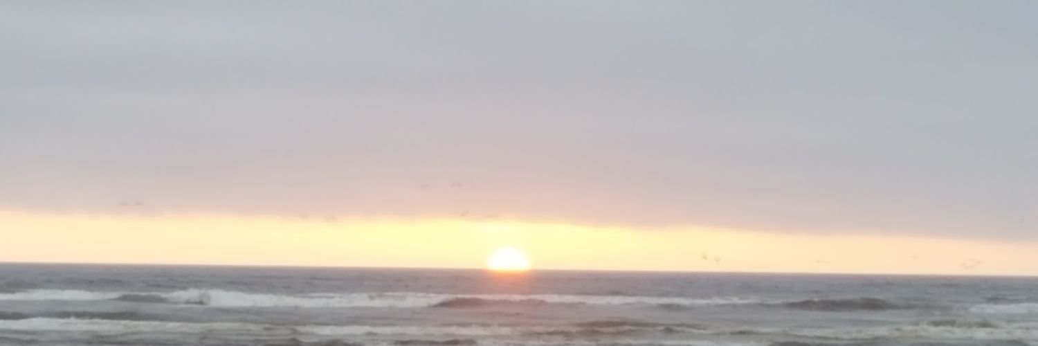 pattea munguia banner