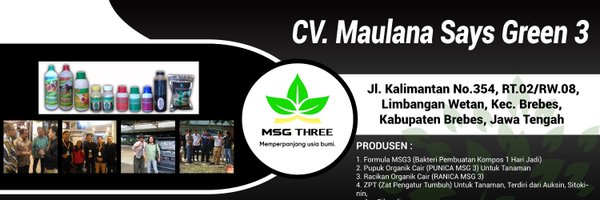 Maulana Says Green 3 Profile Banner