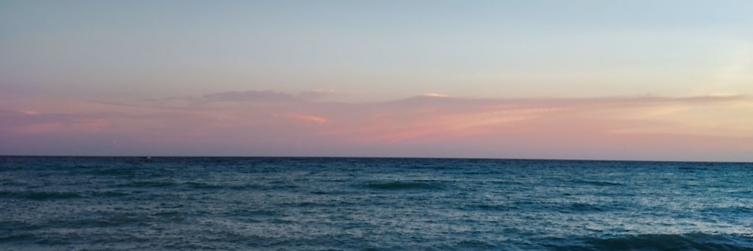 ellaacutamora's profile banner image