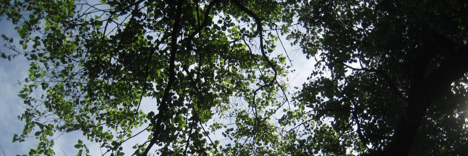 Rachel Kuberry banner