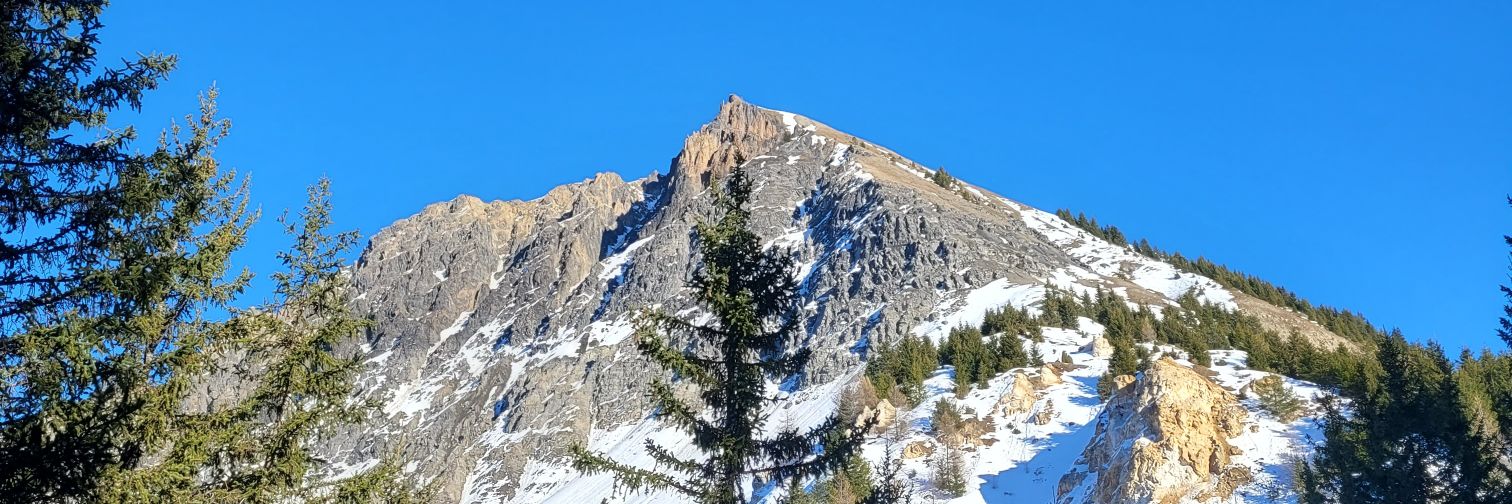 LemaitreePierre's profile banner image