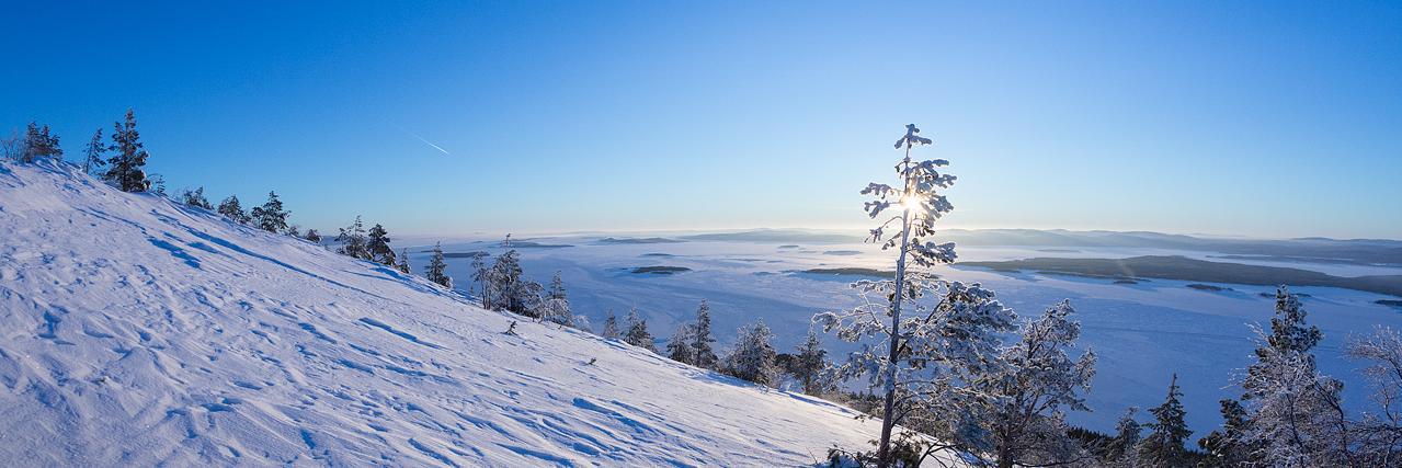 ded_moroz_2015's profile banner image