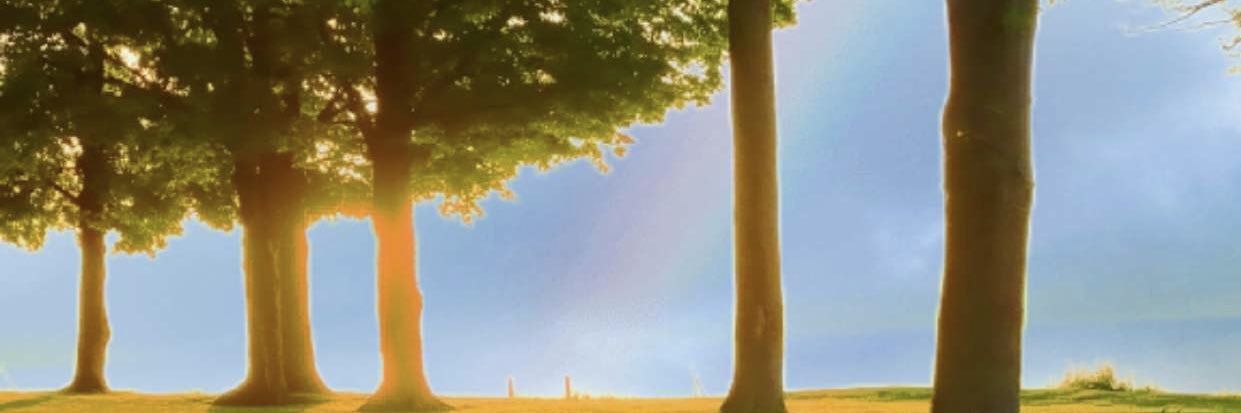 LakeEffectFun01's profile banner image