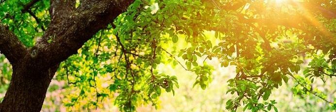 oru_s3104's profile banner image