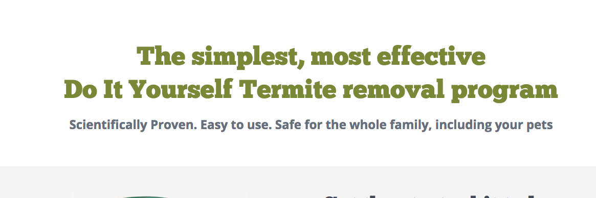 Termite Mansion (@TermiteMansion) / Posts / X