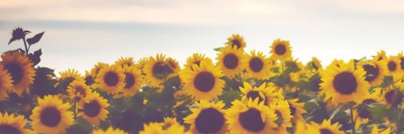 MarissaK_'s profile banner image