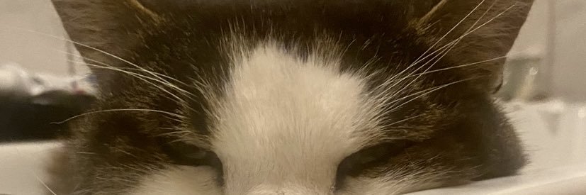 Mlyzzzz's profile banner image