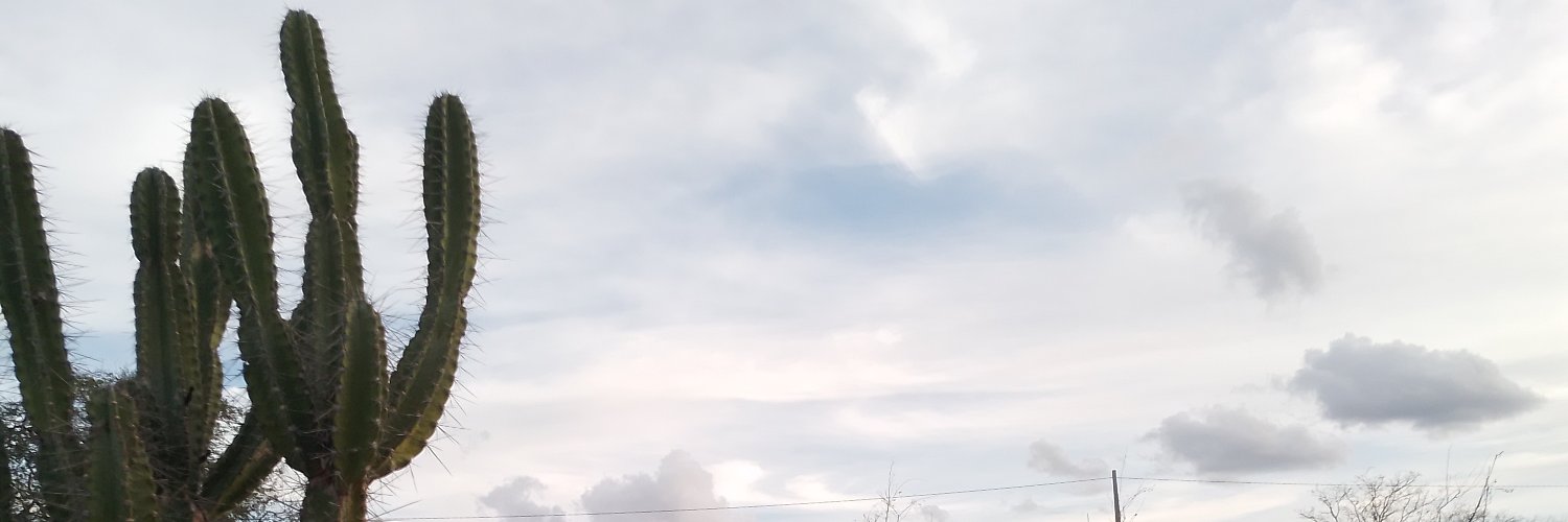 cosmeb45's profile banner image