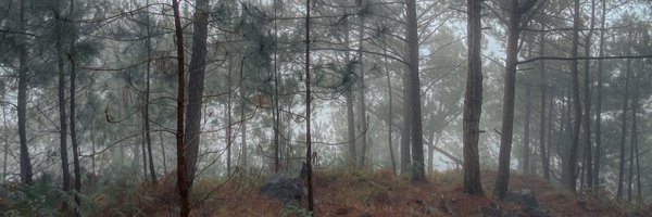 veejandrei Profile Banner