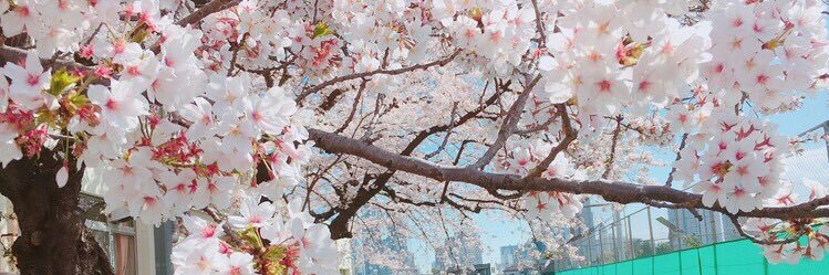 Go_gatubyo's profile banner image