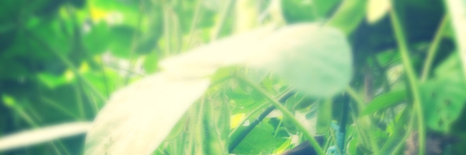 megu114's profile banner image