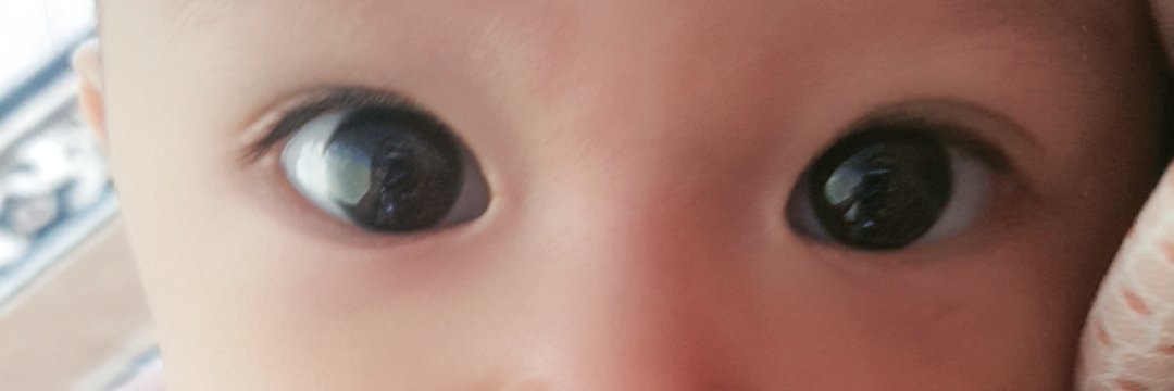sapenihye's profile banner image