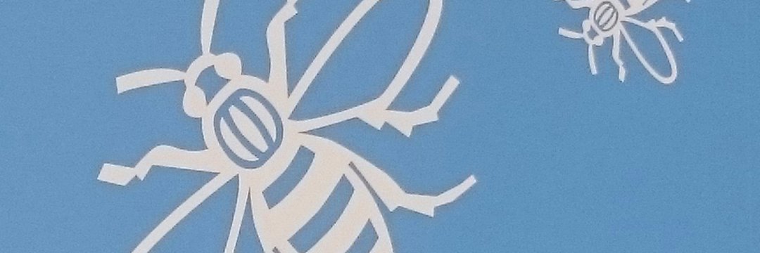 liambrennan90's profile banner image