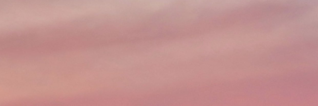 mcspinetta's profile banner image