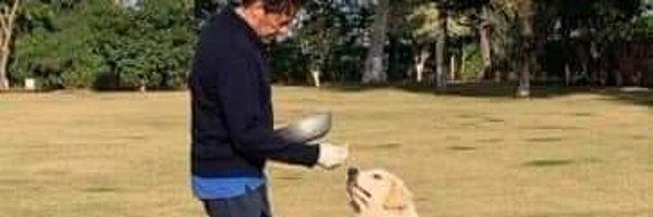 shujahatali23 Profile Banner