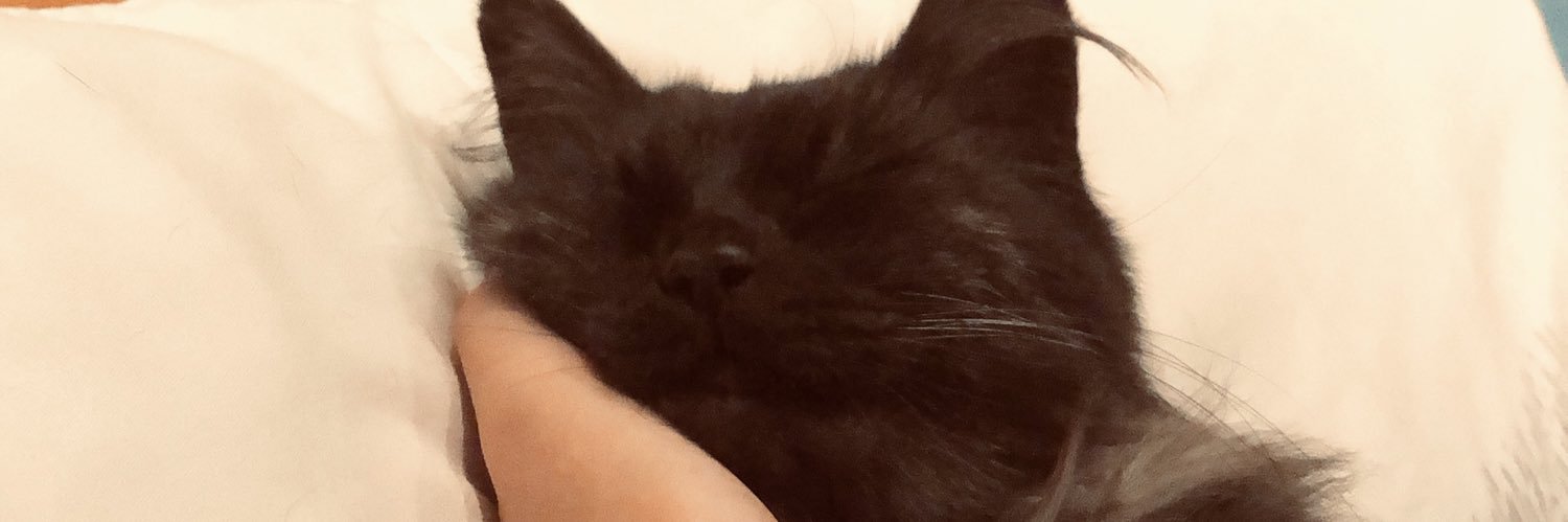 clebusiol's profile banner image