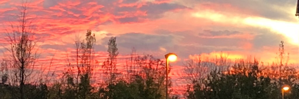 Tunit2305's profile banner image