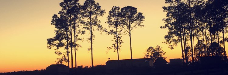 Beau Brecklin banner