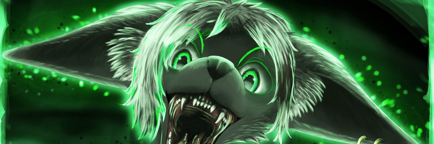 Faize Fanvaizer banner
