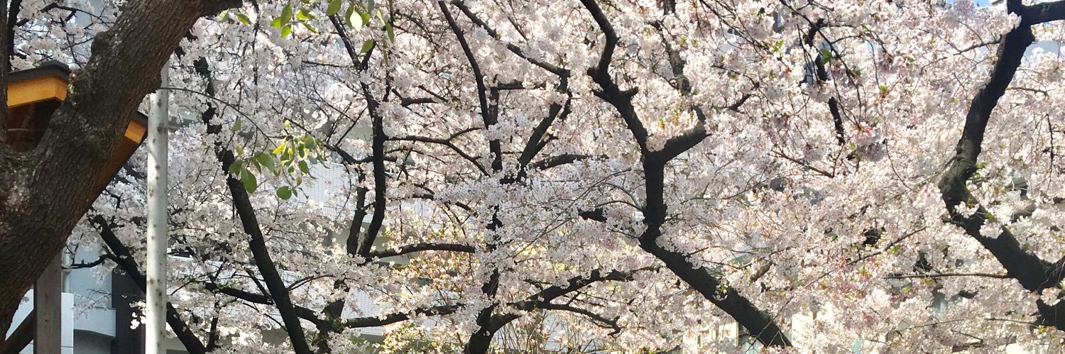 tama___03's profile banner image