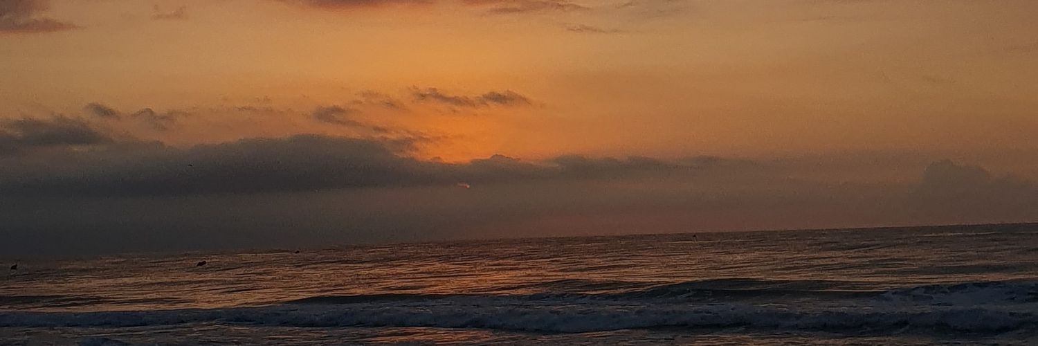 agrmii's profile banner image