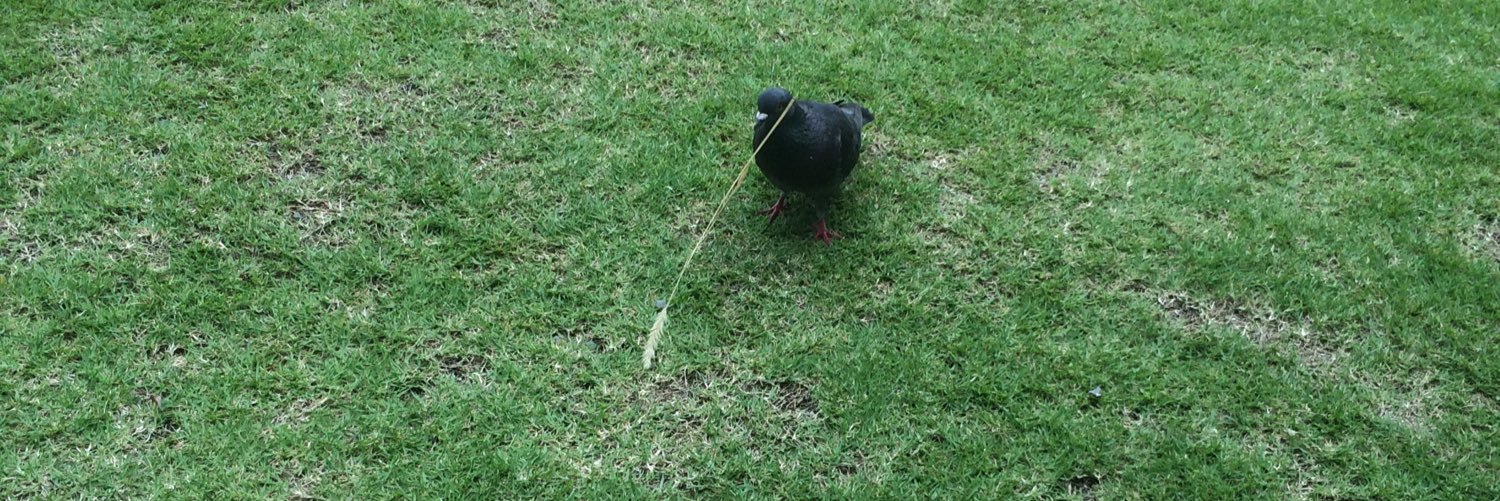 おきものB banner