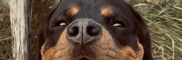 l6ve66's profile banner image