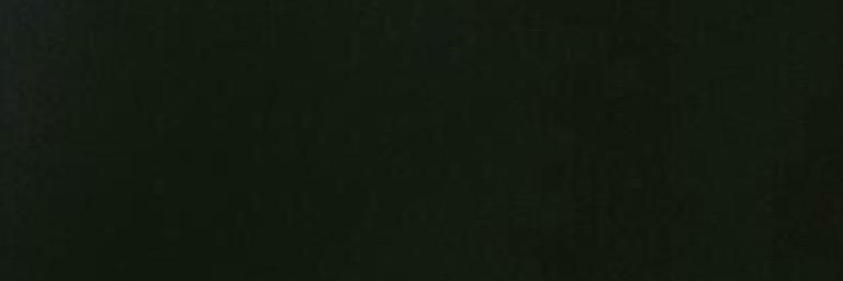 EmilyRPGHAD2's profile banner image