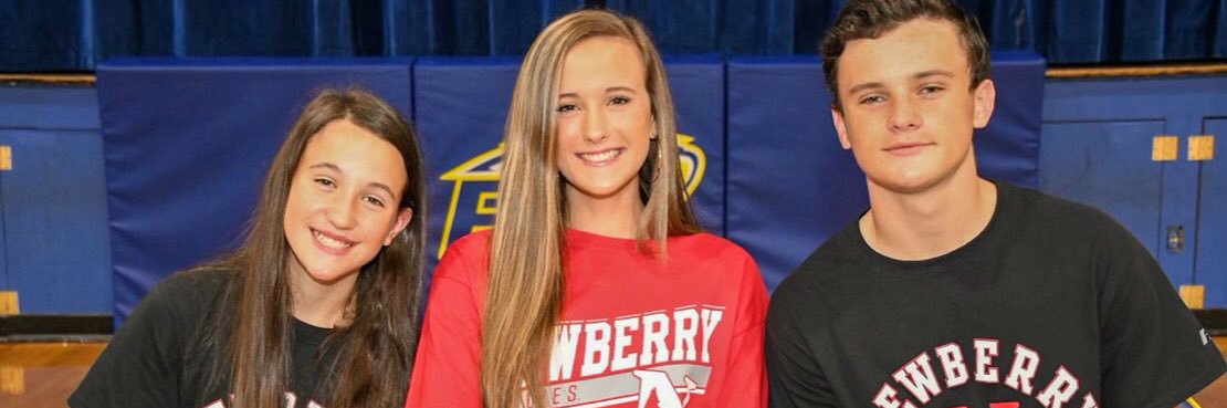 Allison Spires banner