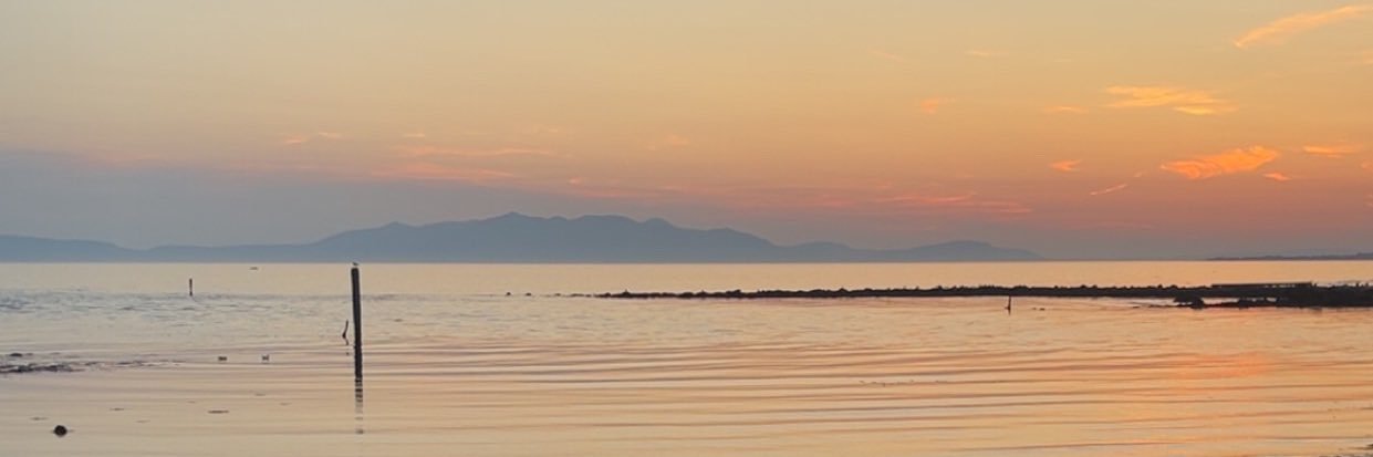 MeganPearson_24's profile banner image