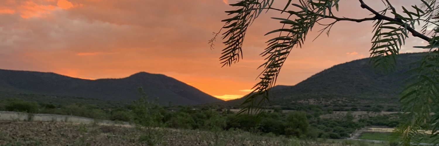 luismontesBa's profile banner image