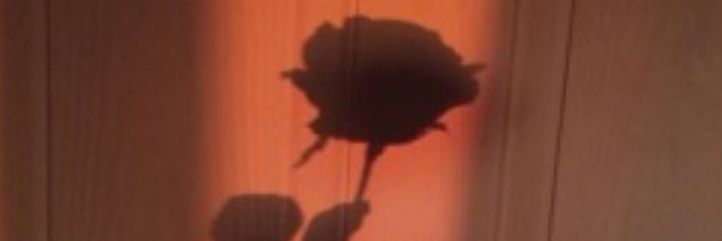 echogdrs's profile banner image