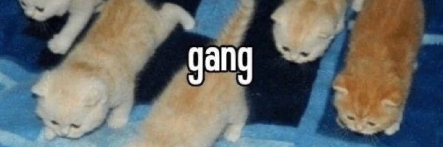 wwwpppsst banner