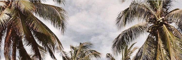 just_ariana's profile banner image