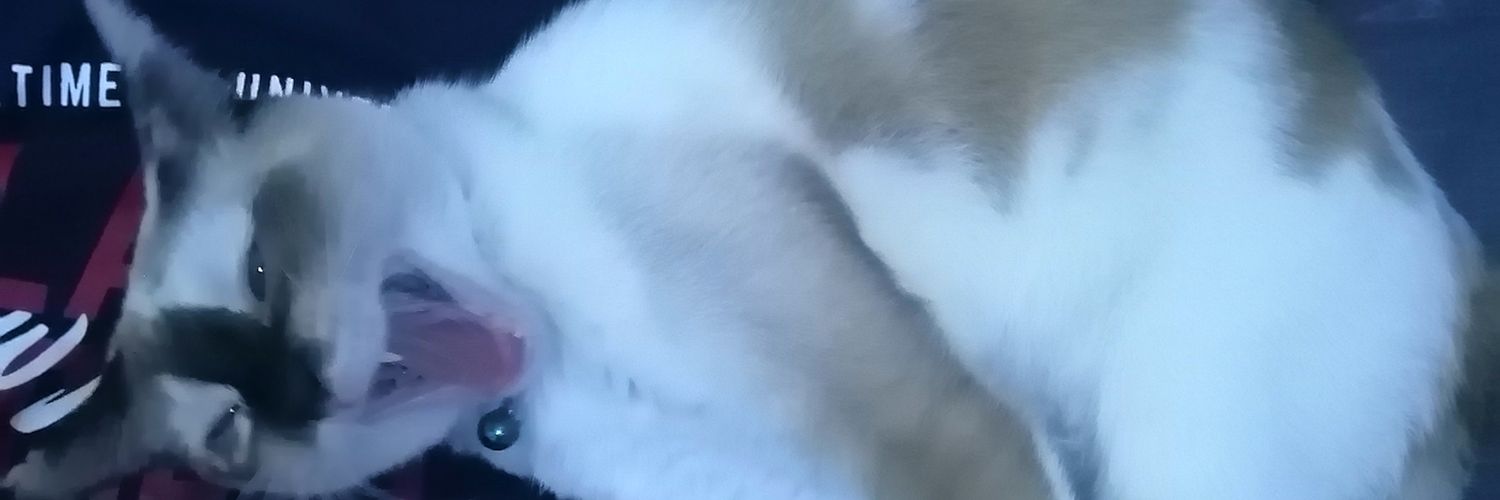green5lightly's profile banner image