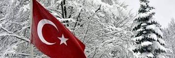 muratatici35's profile banner image