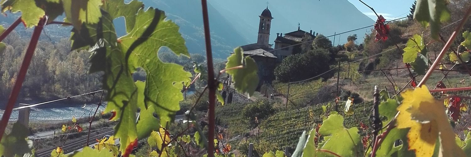 anninamoli's profile banner image