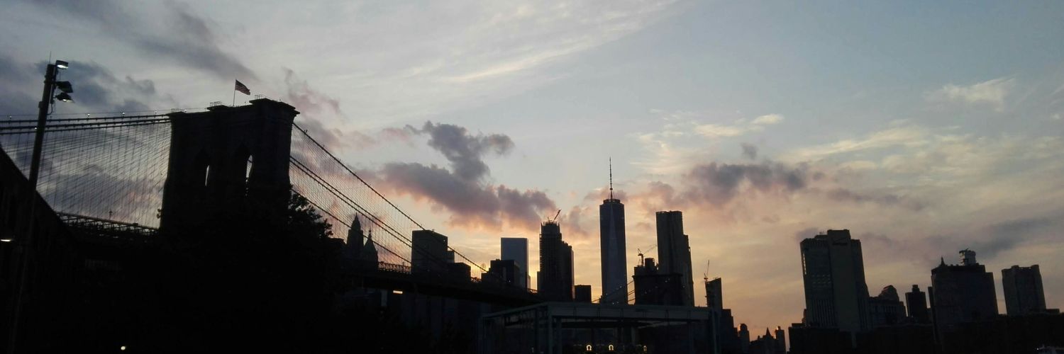 P20goncalves's profile banner image