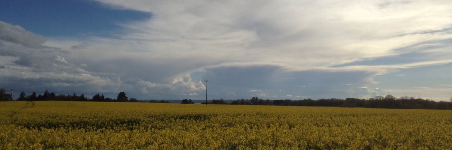 gatepaille's profile banner image