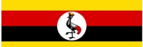 mumiliso banner