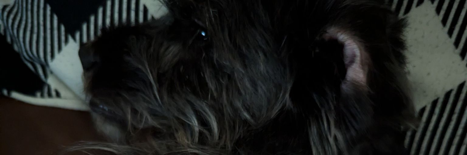 0v0andy's profile banner image