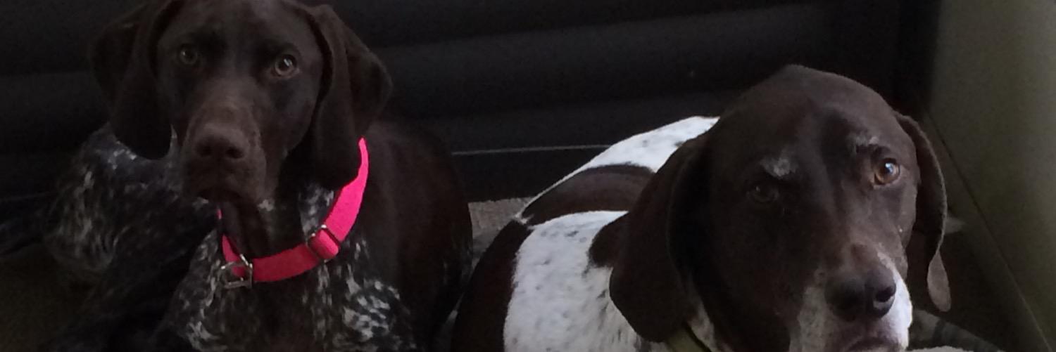 bryant_rapp's profile banner image