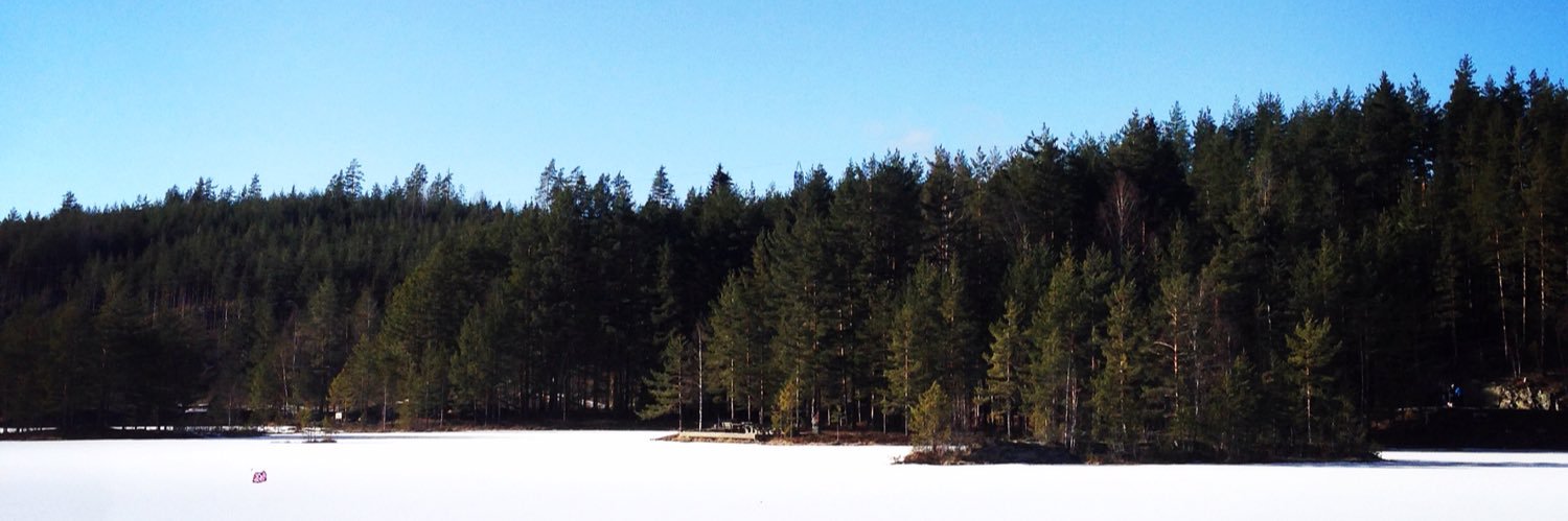 tjeld's profile banner image
