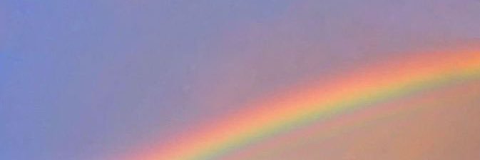 alanis0121's profile banner image